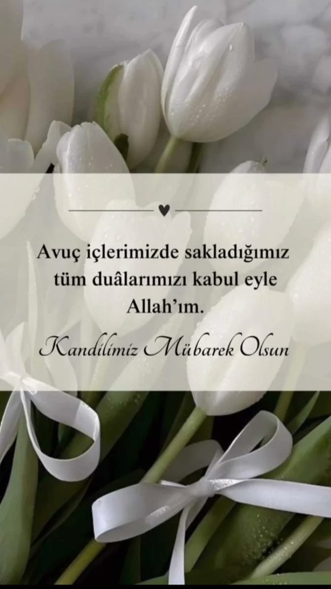 Bu Mevlid Kandili'nde, Peygamber Efendimizin (SAV) örnek ahlakını hayatımıza nakşederek huzur ve mutluluğa erişmeyi niyaz ederim. Kandiliniz mübarek olsun.