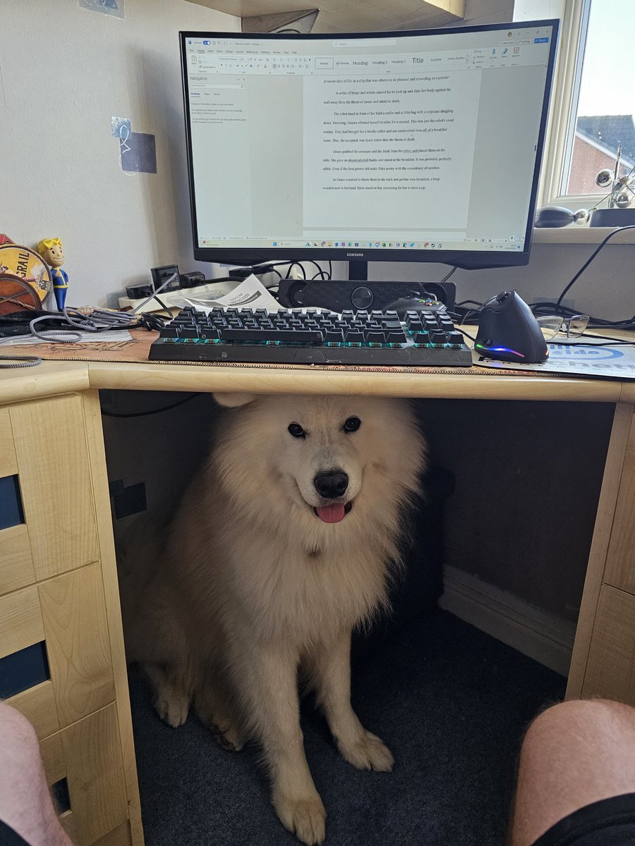 Rick_and_Write's tweet image. The assistant editor is not being quite as helpful as he thinks he is by blocking me getting to the keyboard.
But he&apos;s doing his best!