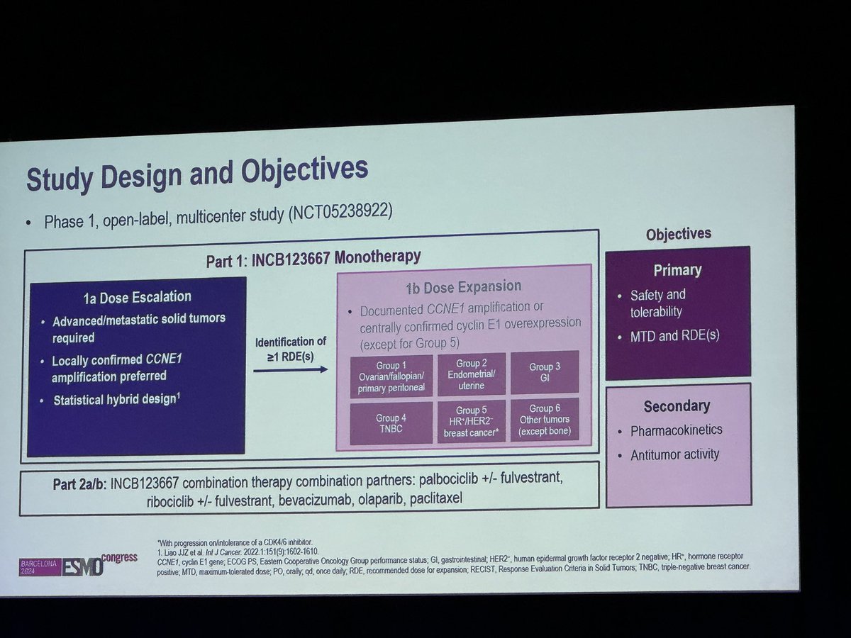 LorenzaRimassa's tweet photo. At #ESMO24 #MatteoSimonelli @HUNIMED @HumanitasMilano presents phase 1 data of #INCB123667 a #CDK2 inhibitor in patients with advanced solid tumors @myESMO #ESMOAmbassadors https://t.co/kFradZNO8A