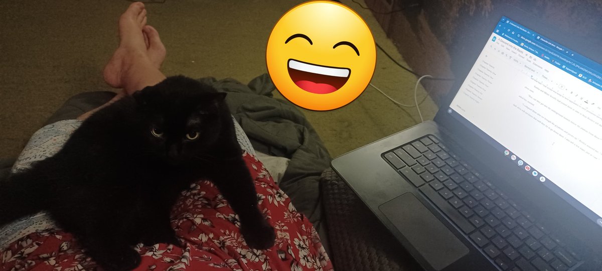 #amwriting #yafantasyseries #cats #familiars interval to give Andromeda some pets 😄 #AQuestforHerRoots #TheRootsSeries