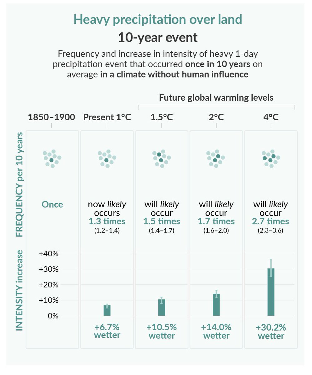 Verena Mischitz tweet media