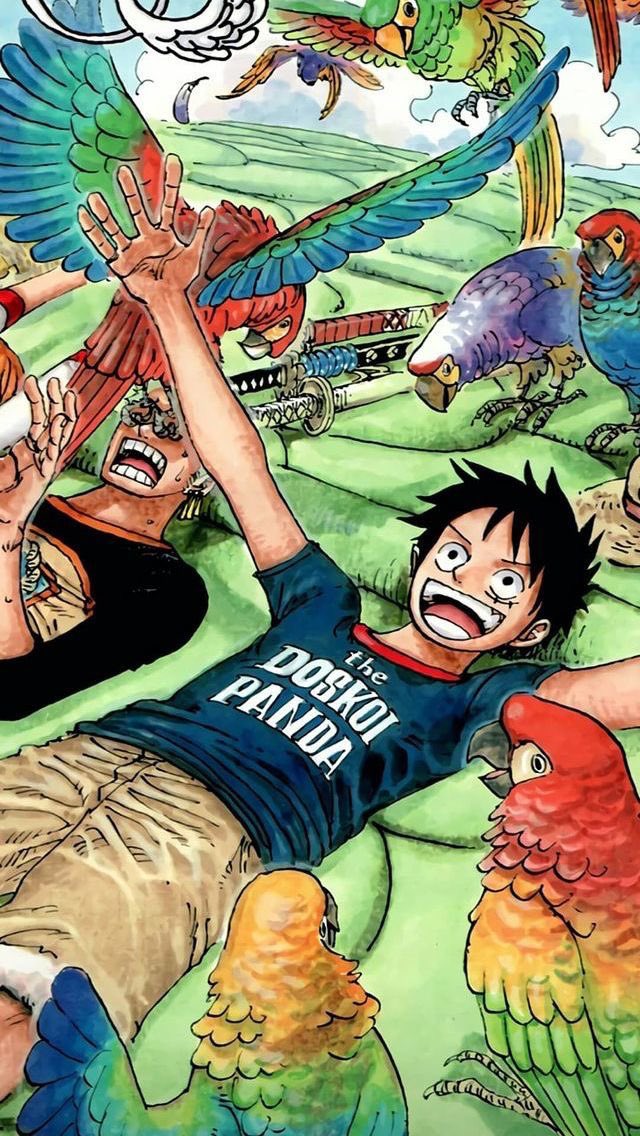 One Piece (@onepiecepanel) on Twitter photo 