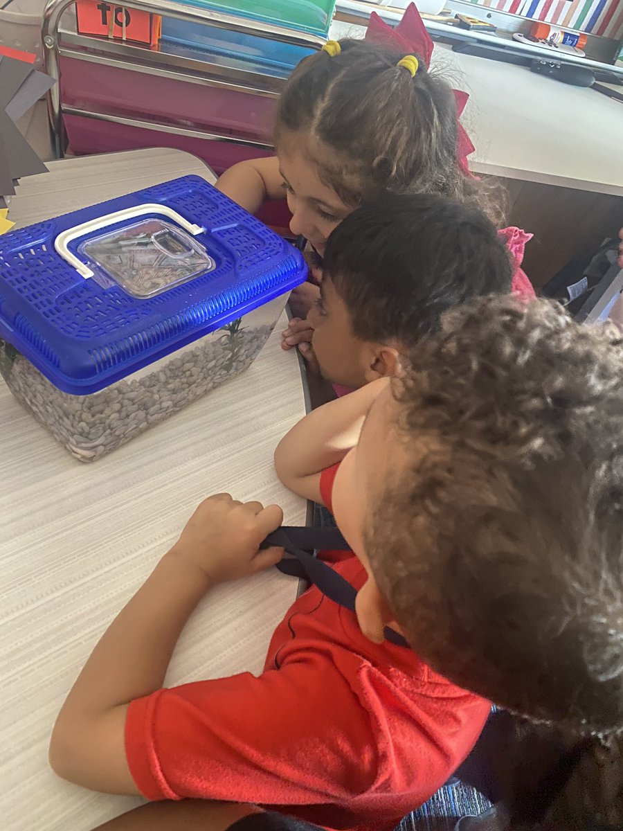 FUN FRIDAY field trip to <a href="/heidiwatkins115/">Heidi Watkins</a> room to see some cute animals! My kids couldn’t get enough!🦎🐟 Thanks for always welcoming us! #OwlAboutTheBest <a href="/cfisdmcgown/">@cfisdmcgown</a> <a href="/CFISDPK1/">cfisdprimary</a>