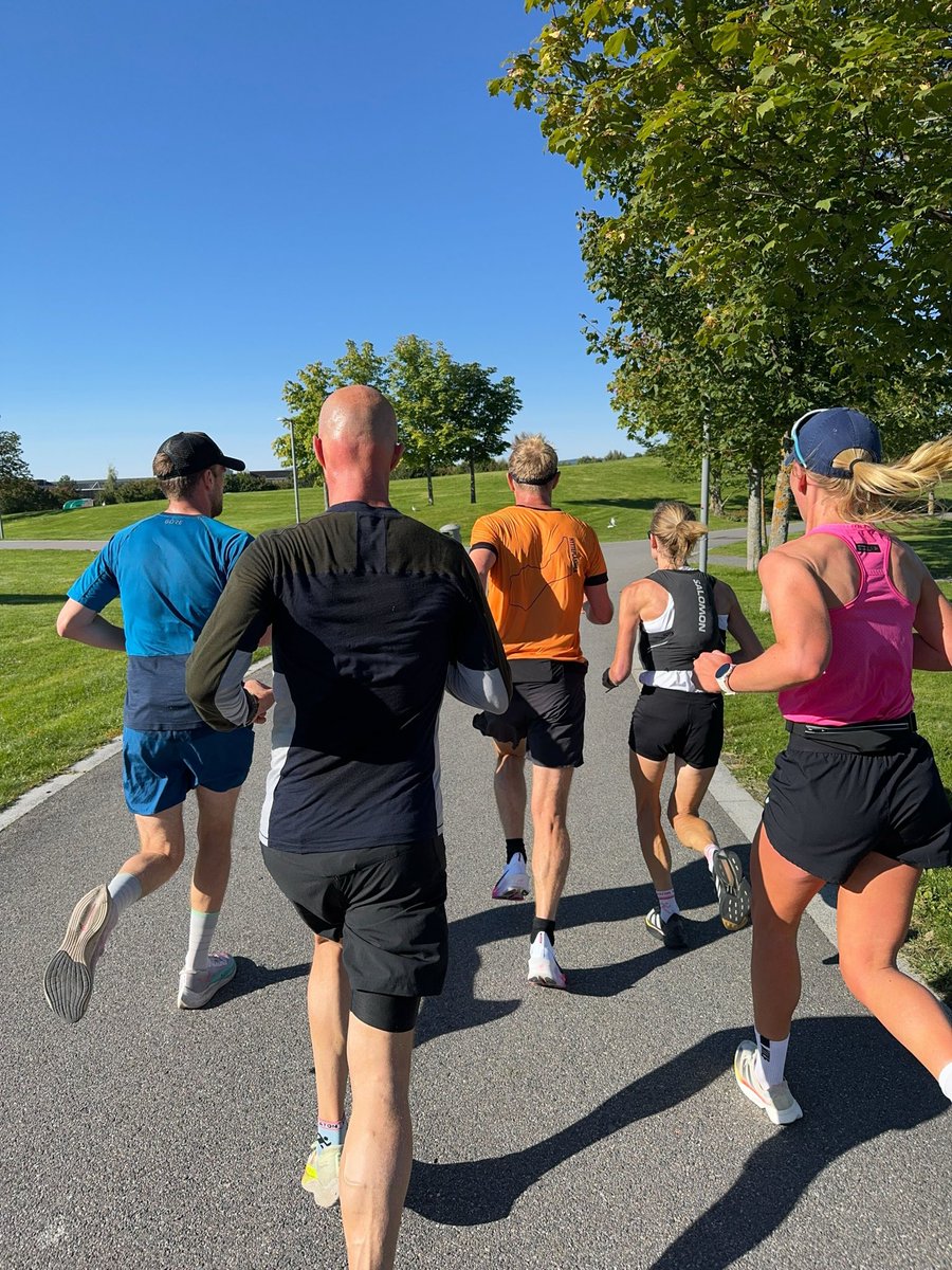 Typiske høsttegn. Rognebær og maratonløpere.