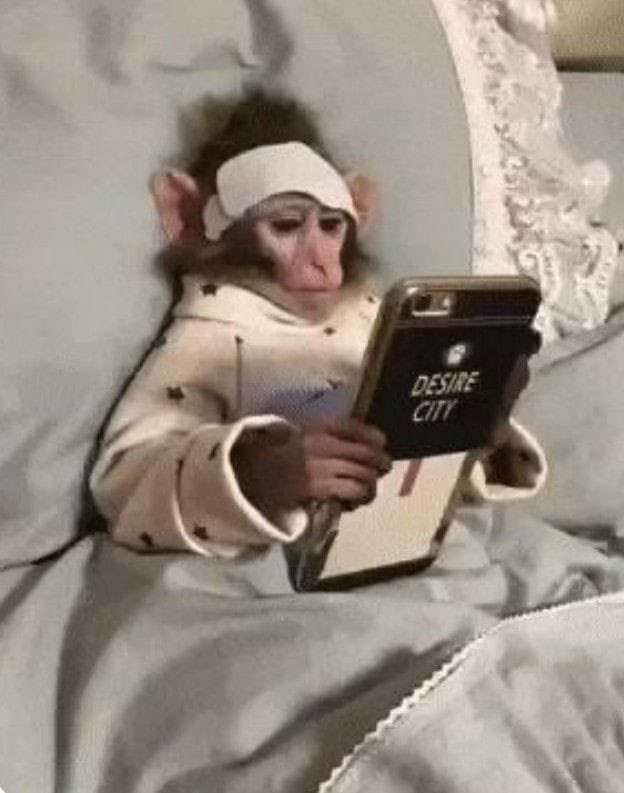 Buenos días chavales hoy vuela la makina