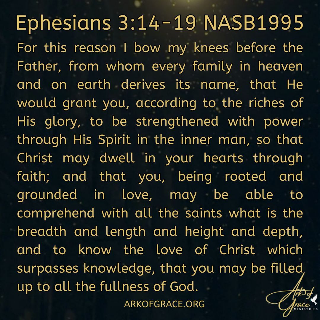 AmandaGrace_AOG's tweet photo. Ephesians 3:14-19 NASB1995 
For this reason I bow my knees before the Father, from whom every family in heaven and on earth derives its name, that He would grant you, according to the riches of His glory, to be strengthened with power through His Spirit in the inner man, so that Christ may dwell in your hearts through faith; and that you, being rooted and grounded in love, may be able to comprehend with all the saints what is the breadth and length and height and depth, and to know the love of Christ which surpasses knowledge, that you may be filled up to all the fullness of God. 

 #prophecy #Amandagrace #Christian #Christianity #Jesus #faith #inspirational
#amen #Scripture #Bible #WordofGod #Ephesians #HolySpirit #JesusisLord #prayer #love #truth #relationshipwithGod #wisdom #peace #bornagain #TrustGod
