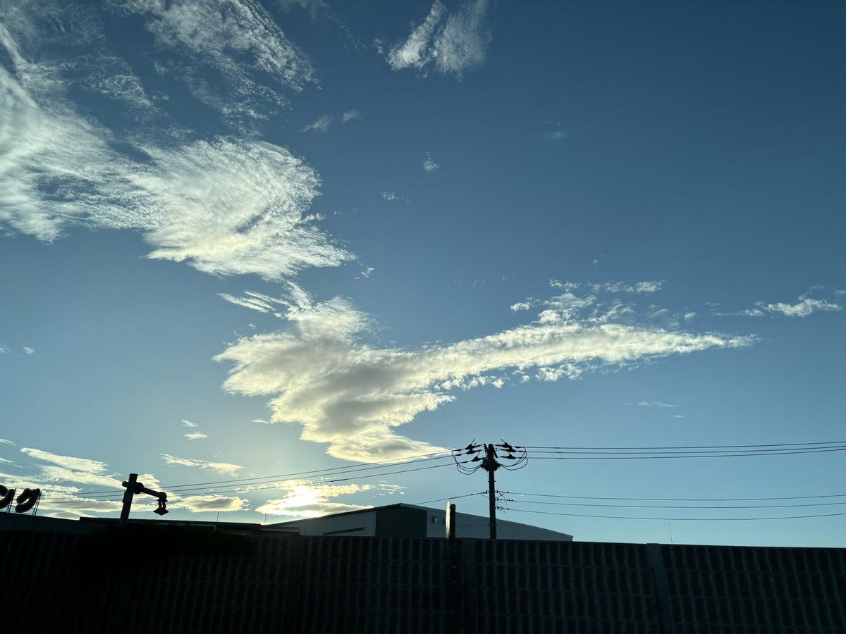 You_RiYamanaka's tweet photo. Flying dragon in Japan. 空翔ぶ龍。 #dragon #flyingdragon #龍 #空翔ぶ龍 https://t.co/ERtk1CU9hl
