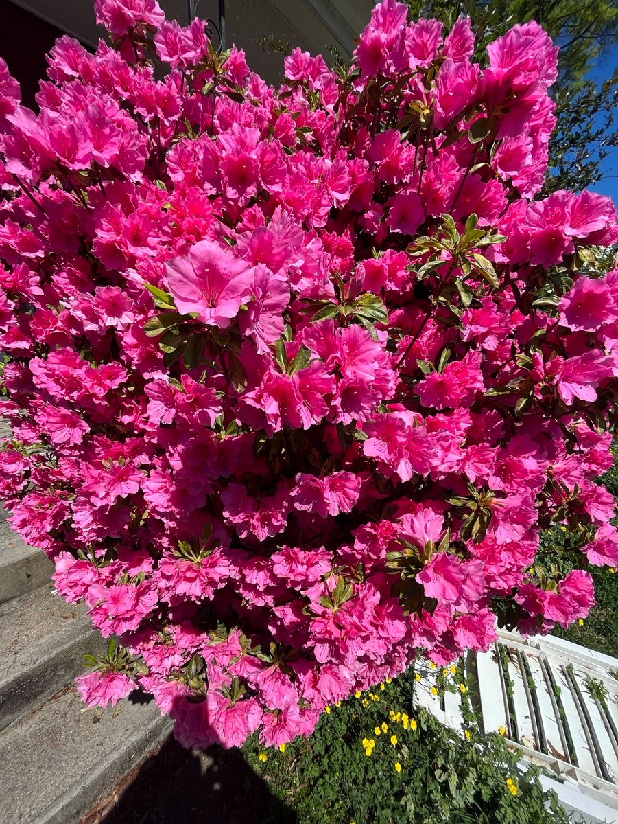 layaa (@layaa444) on Twitter photo 