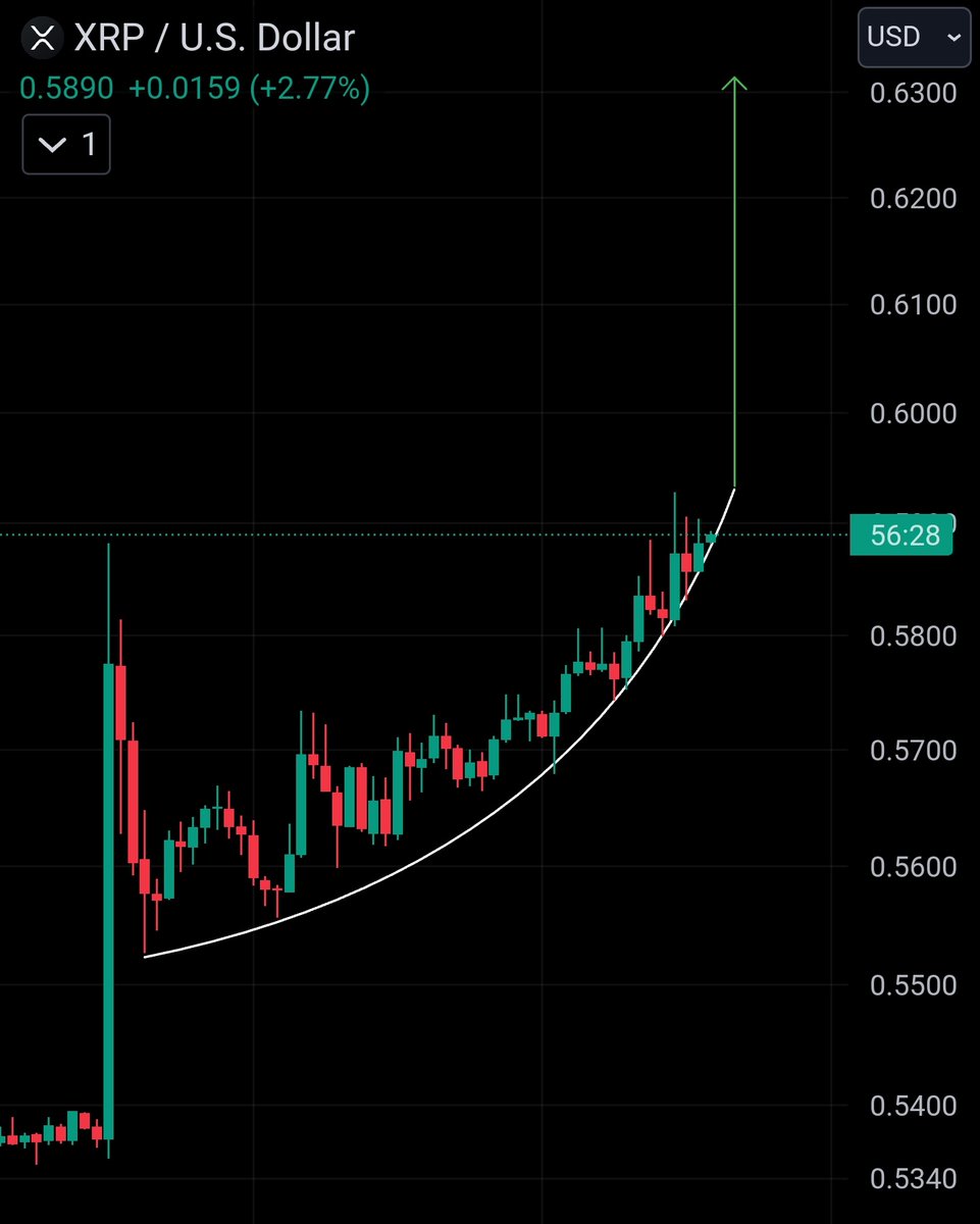 XRP CAPTAIN 590✪ tweet media