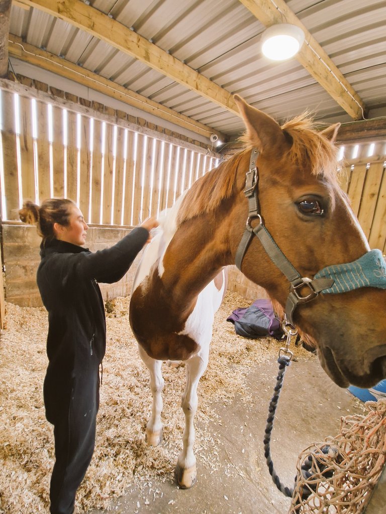 Sed_Equestrian's tweet photo. A real buzz at Borrett Yard on Friday, as everyone was preparing for a big weekend of competing #tackcleaning #bathinghorses #plaiting #bootcleaning https://t.co/xMQNETFj83