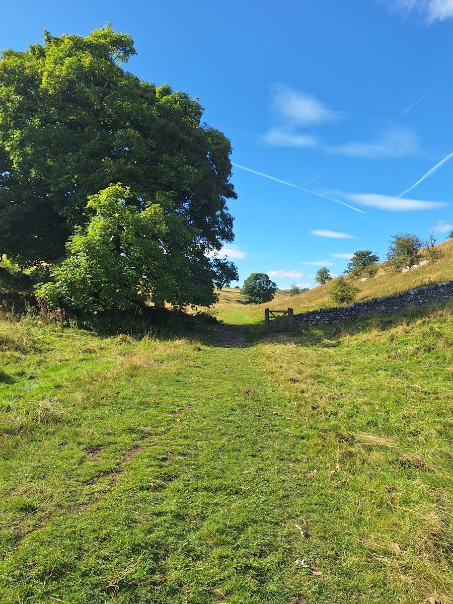 ciaramc1986's tweet photo. Lathkill Dale #PeakDistrict #hiking #monyash #lathkilldale https://t.co/lF3ABGCXxW
