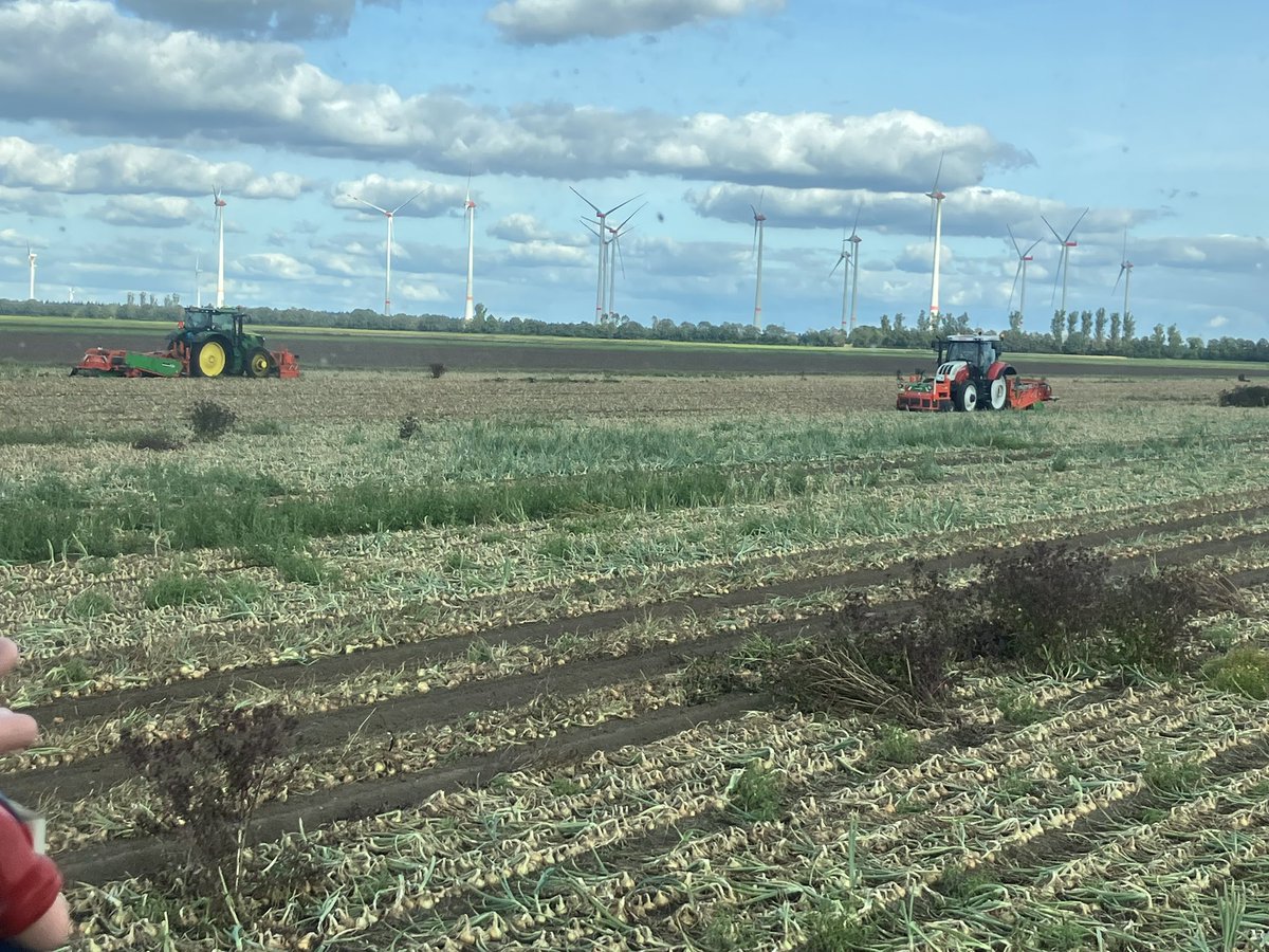 Samen met neef <a href="/MeedendorpPeter/">Peter Meedendorp</a> en <a href="/Kevindg1509/">kevin de groot</a> de uien boven leggen
Schiet mooi op zo