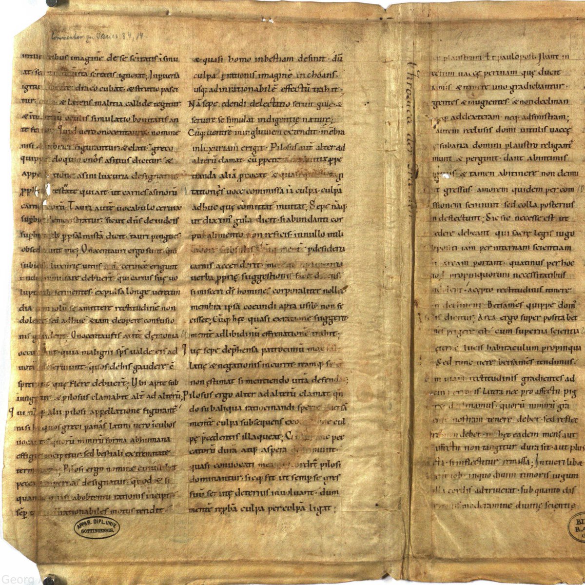 Pieter Beullens tweet media