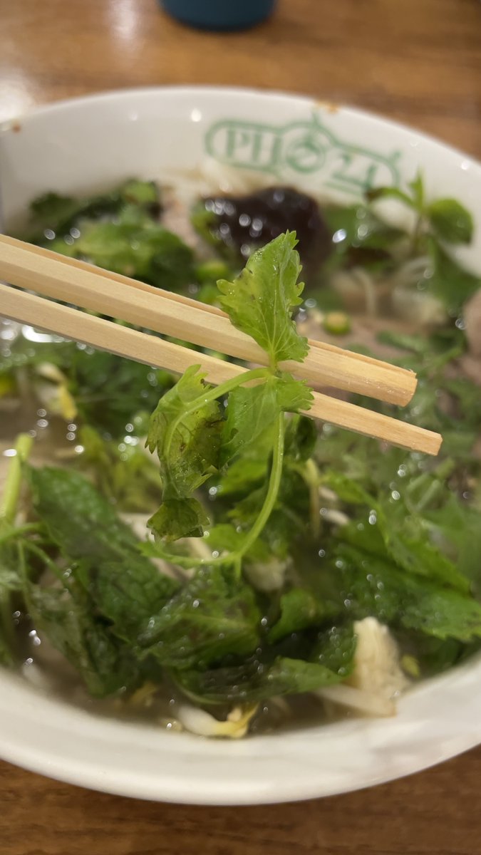 Dulu benci banget cilantro (daun ketumbar) ini. Nggak suka pho karena ada daun ini. Rasanya aneh. Tapi sekarang malah jadi suka banget.