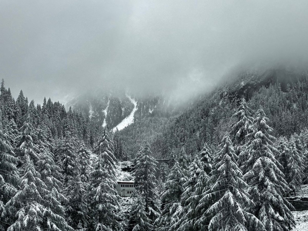 Rückreise von der inspirierenden interdisziplinären Tagung zu "Sprache/Architektur/Raum" in der wunderbaren #Villa_Garbald durch den ersten Schnee...

Dank an Schweizer Kollegen v Arburg, Bubenhofer, Hausendorfer &amp; Müller-Wille für Einladung &amp; Organisation &amp; alle TeilnehmerInnen!