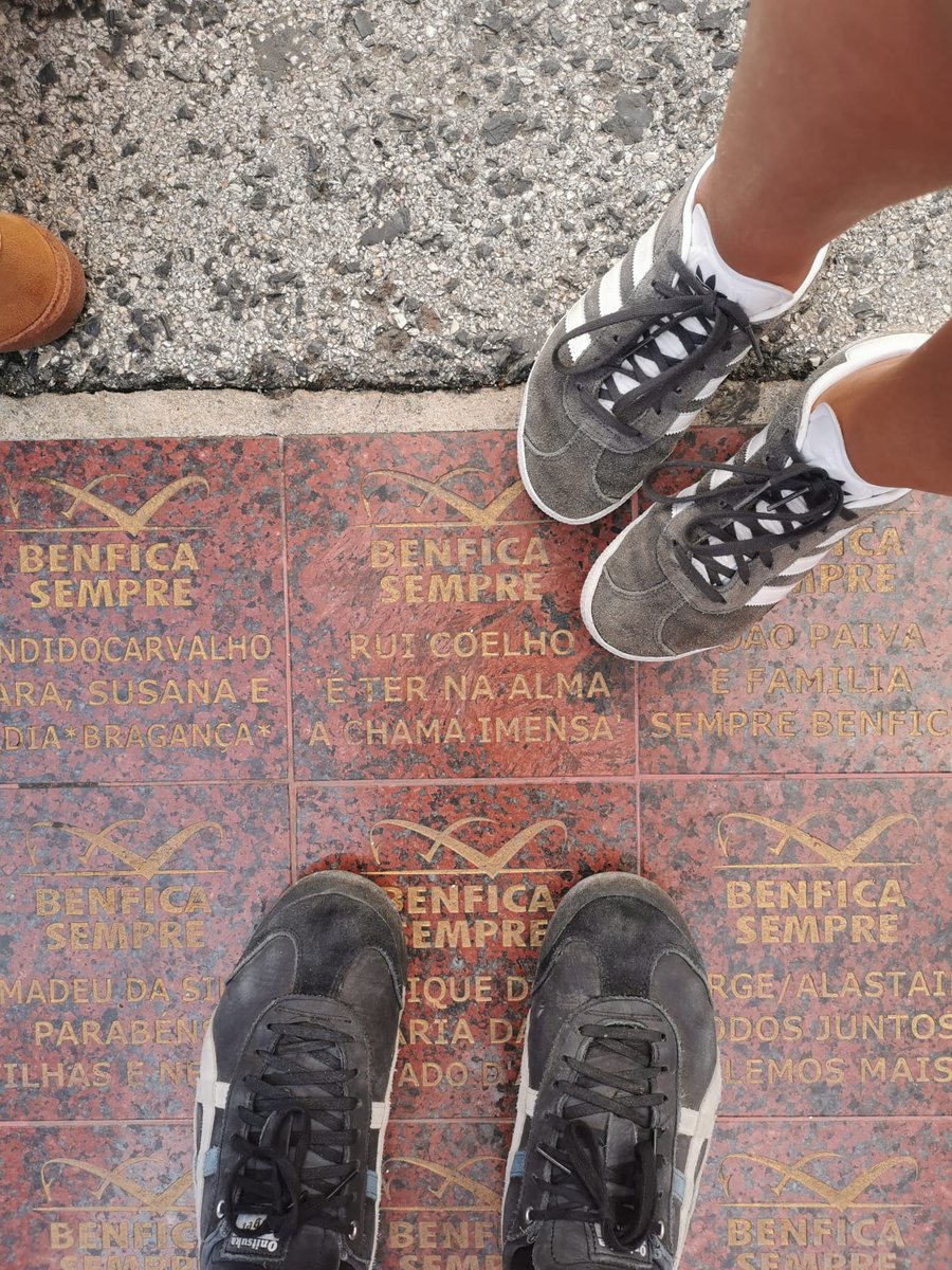 Rui Coelho (@rms_clh) on Twitter photo 