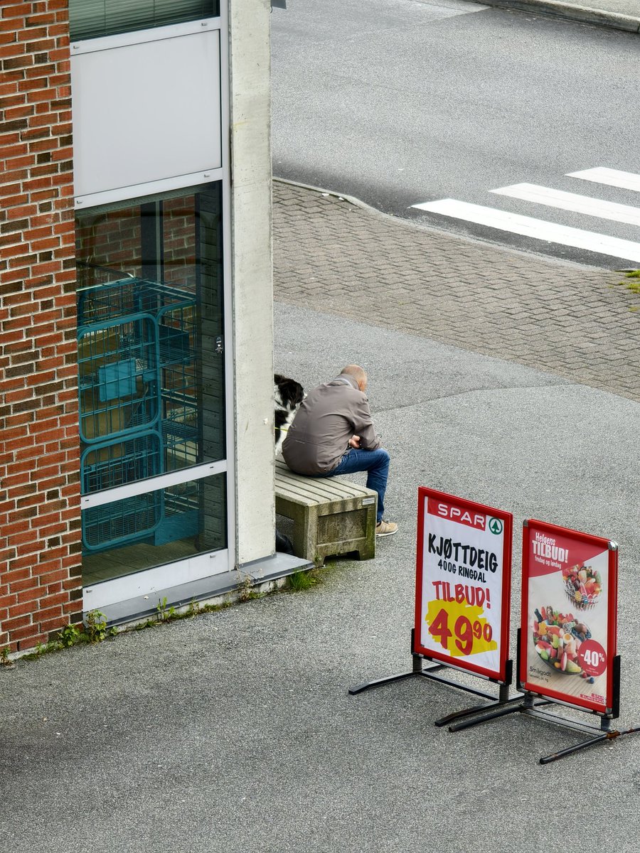 SimpleP__'s tweet image. 这慵懒的感觉