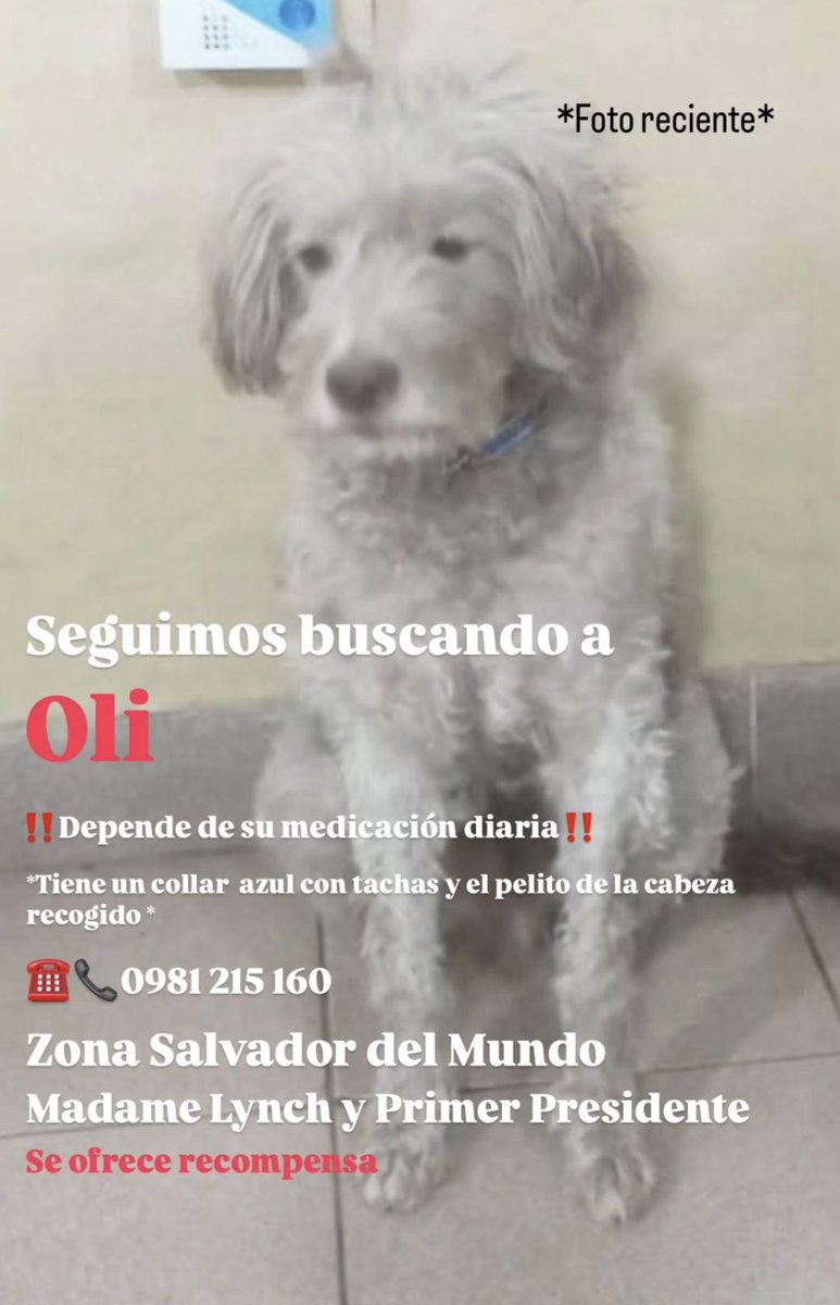 Marcando Huellas tweet media