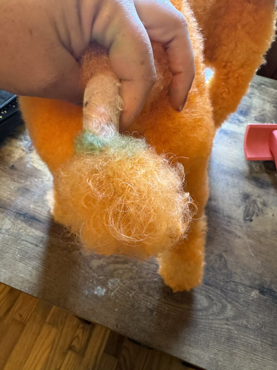 EricaBa76568016's tweet photo. Happy fall, yaโll! Itโs a Pumpka-poo! #Opaws #PumpkinOrange #KellyGreen #Poodle or #Pumpkin ๐ ๐ฉ https://t.co/OSfBZaivVD