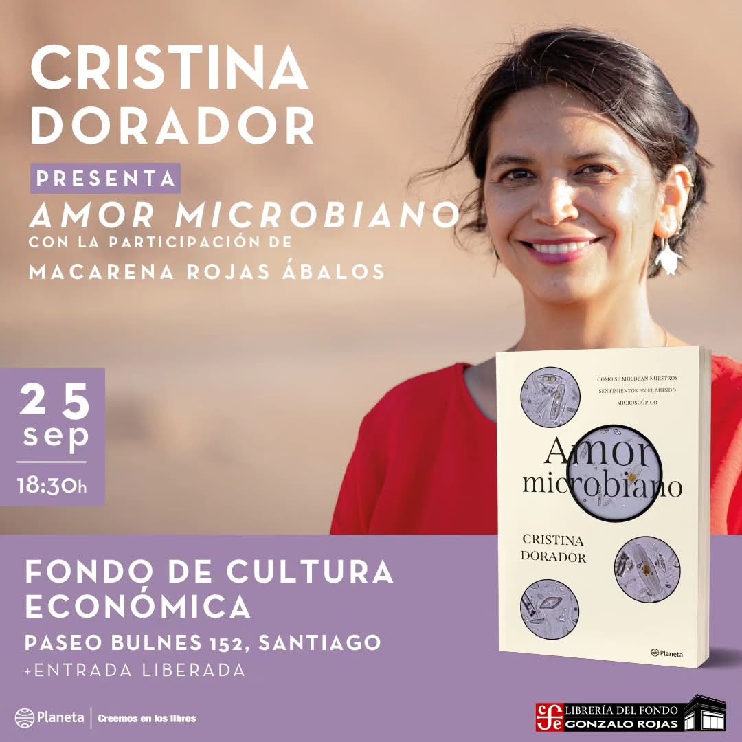 Artenorte's tweet image. En #SCL