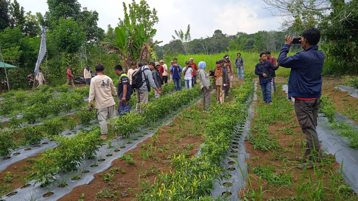 agato_r's tweet image. Beberapa dokumentasi di saat kami sedang di lahan dampingan. Hal ini rutin kami lakukan setiap bulannya #GalaxyForWork #GalaxyXCover7 
@Jjimcutie_ @IrenaTela @Yaranay_