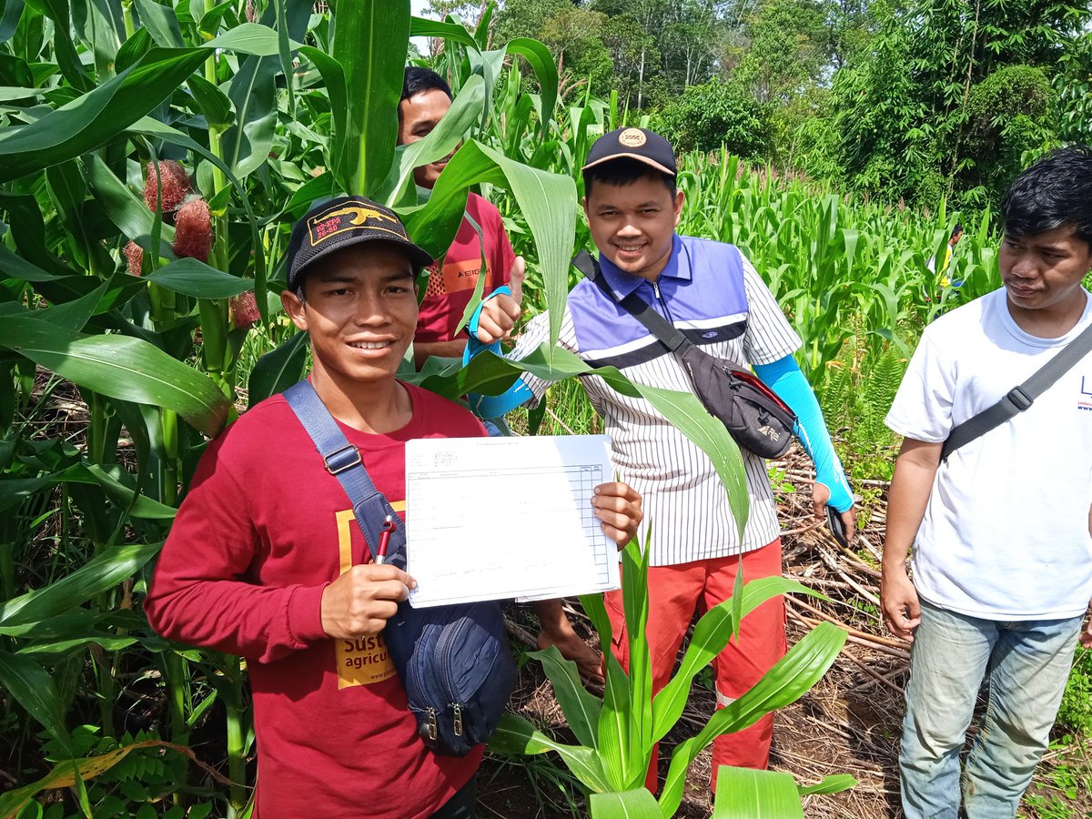 agato_r's tweet image. Beberapa dokumentasi di saat kami sedang di lahan dampingan. Hal ini rutin kami lakukan setiap bulannya #GalaxyForWork #GalaxyXCover7 
@Jjimcutie_ @IrenaTela @Yaranay_