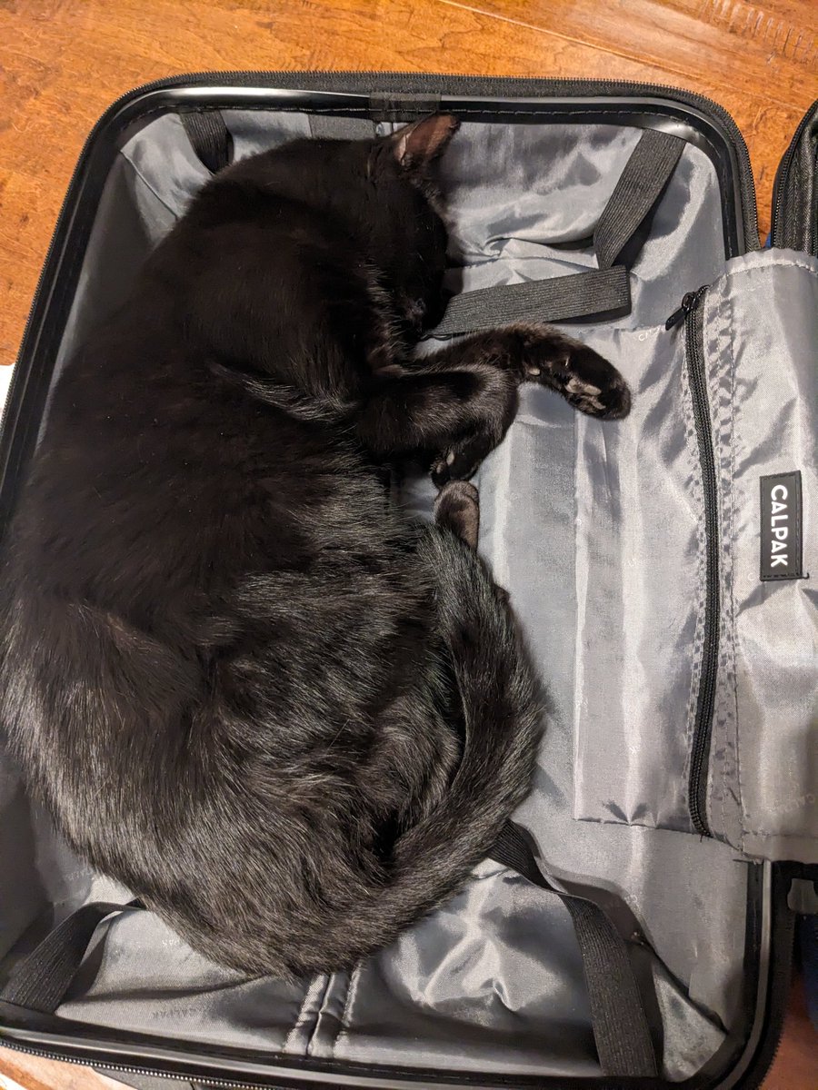 MichaelCaisse's tweet image. I guess she is going to CppCon. #cppcon