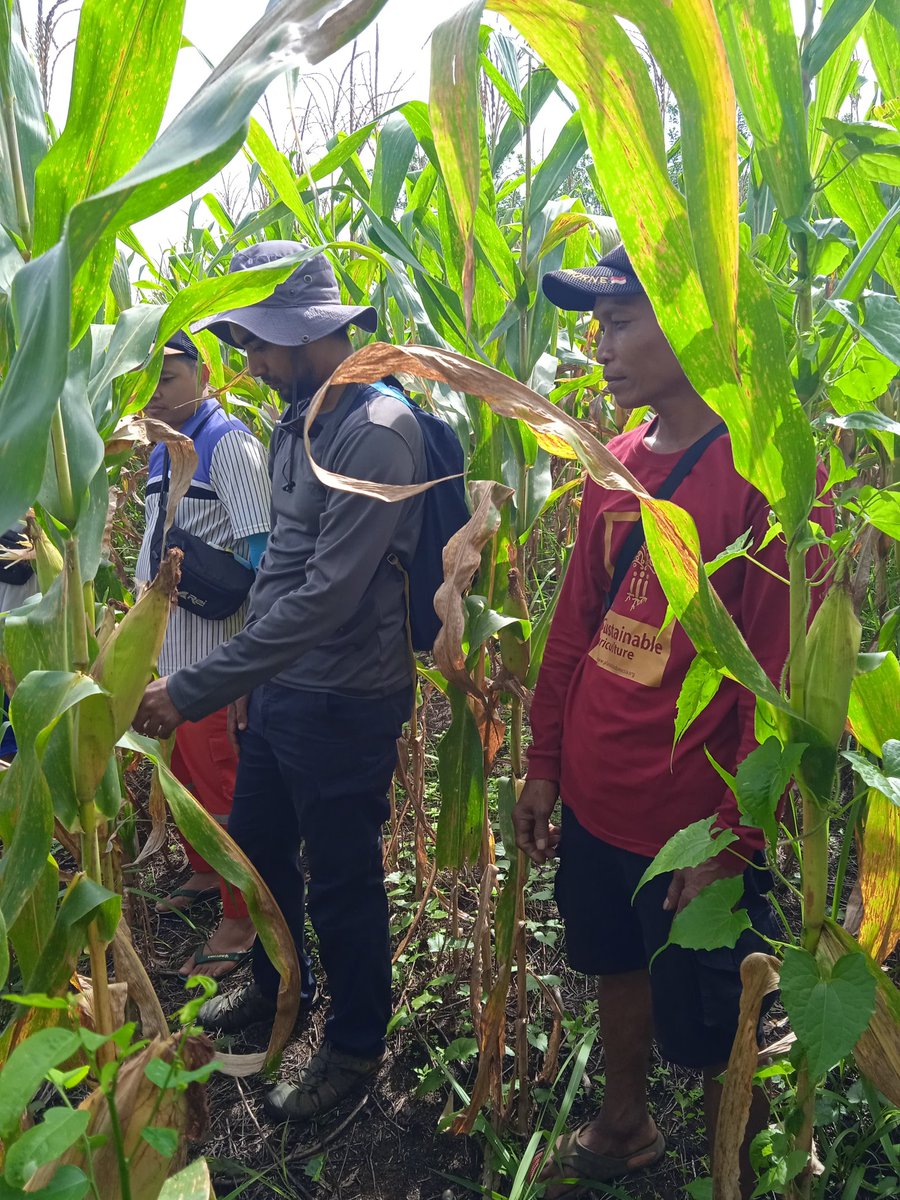 agato_r's tweet image. Saat ke lahan dampingan ditengah teriknya panas dan debu #GalaxyForWork #GalaxyXCover7 
@Jjimcutie_ @IrenaTela @Yaranay_