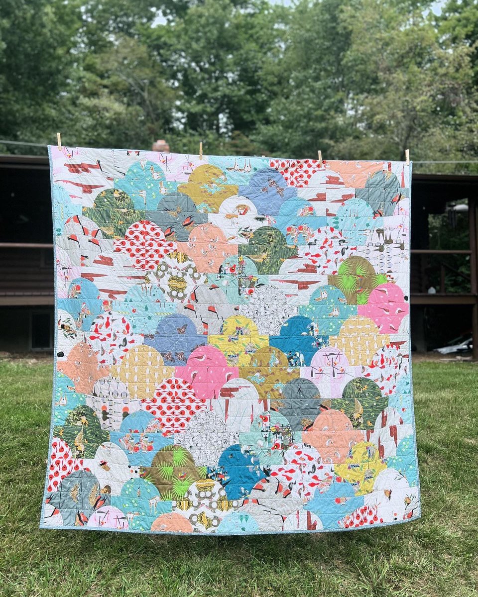 A little Charley Harper quilt fun 🐦🦛🐞