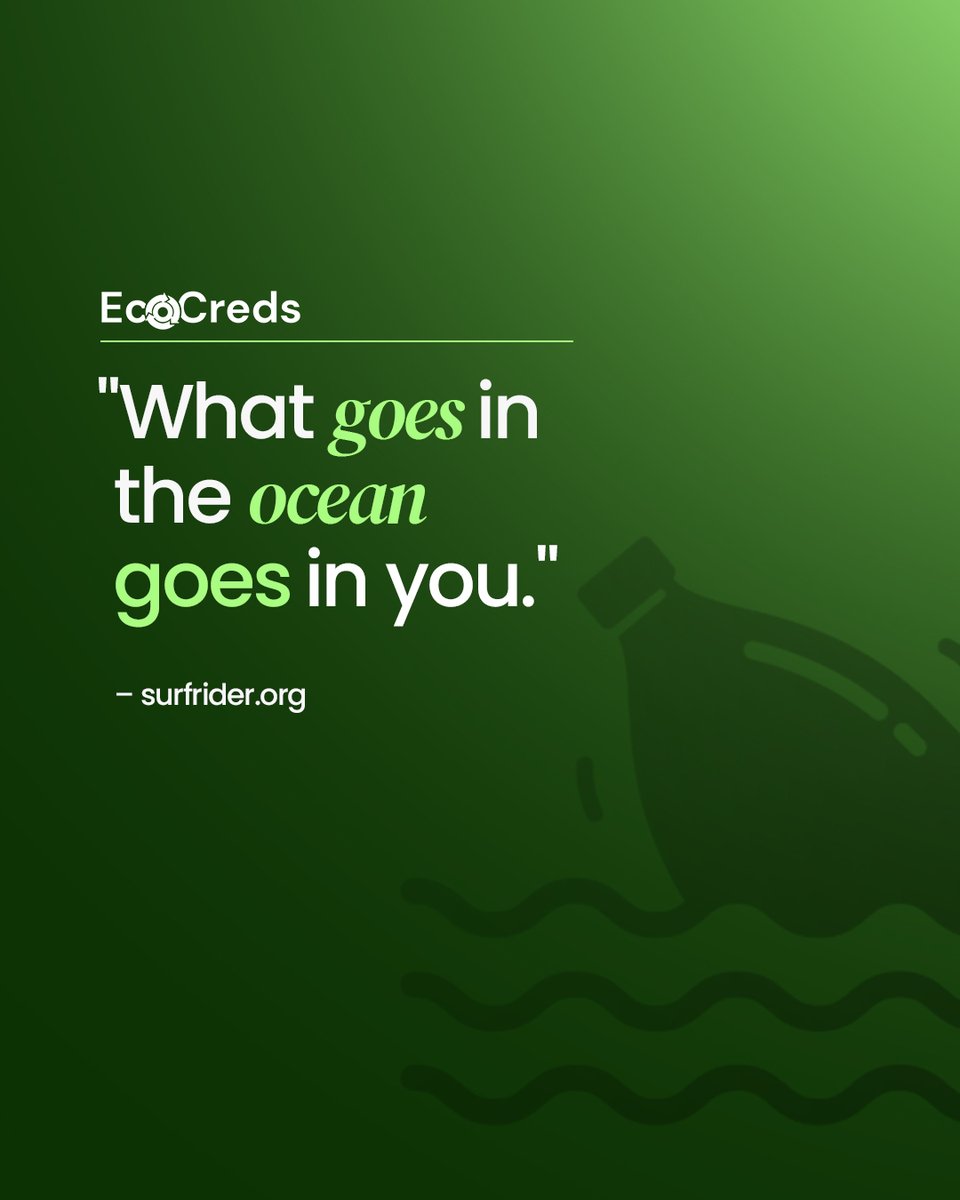EcoCreds's tweet photo. 80% of the marine debris is just plastic.
#EcoHack: Swap plastic for simple sustainable alternatives:
👜 Plastic bags → Reusable totes
🐝 Cling wraps → Beeswax wraps
🍶 Water bottles → Stainless steel
Recycle & take a step toward a plastic waste-free #earth! https://t.co/grWuTRxKG0