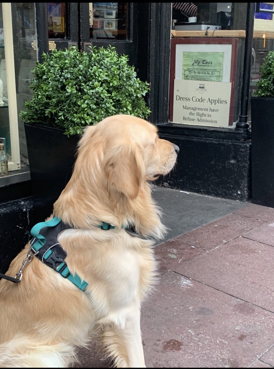 Should have worn my other coat