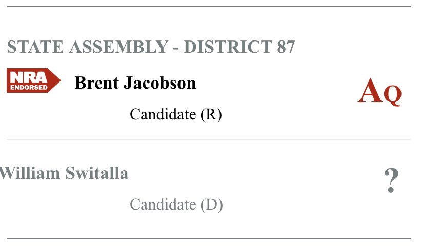 Brent4assembly's tweet photo. ENDORSED! I am pleased to announce that NRA grades and endorsements are out and that I have received the NRA endorsement in my Assembly race. The choice to defend your 2nd Amendment freedoms in the general election is clear. I need your vote on November 5th! https://t.co/1s1ksNv6Jq