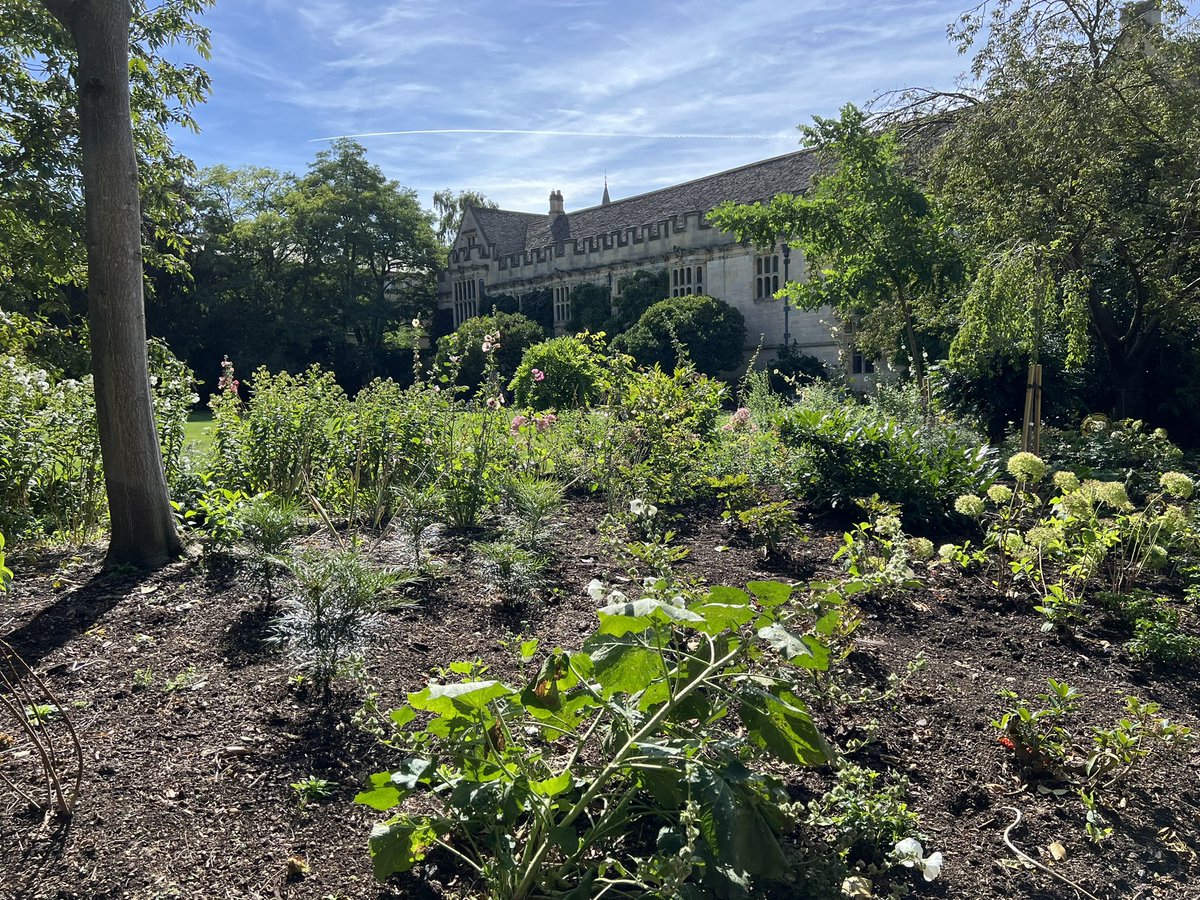 Pleased to be among the crowds <a href="/StJohnsOx/">St John's College</a> leading garden tours #OxfordOpenDoors 2024 and launching a tree trail!