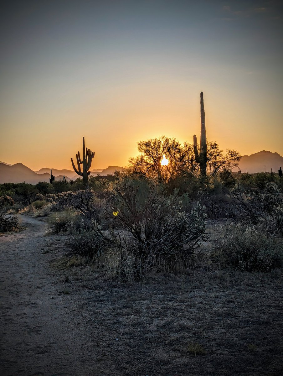 TheCableman01's tweet photo. Good morning from the beautiful desert! https://t.co/HmehQQBQgB
