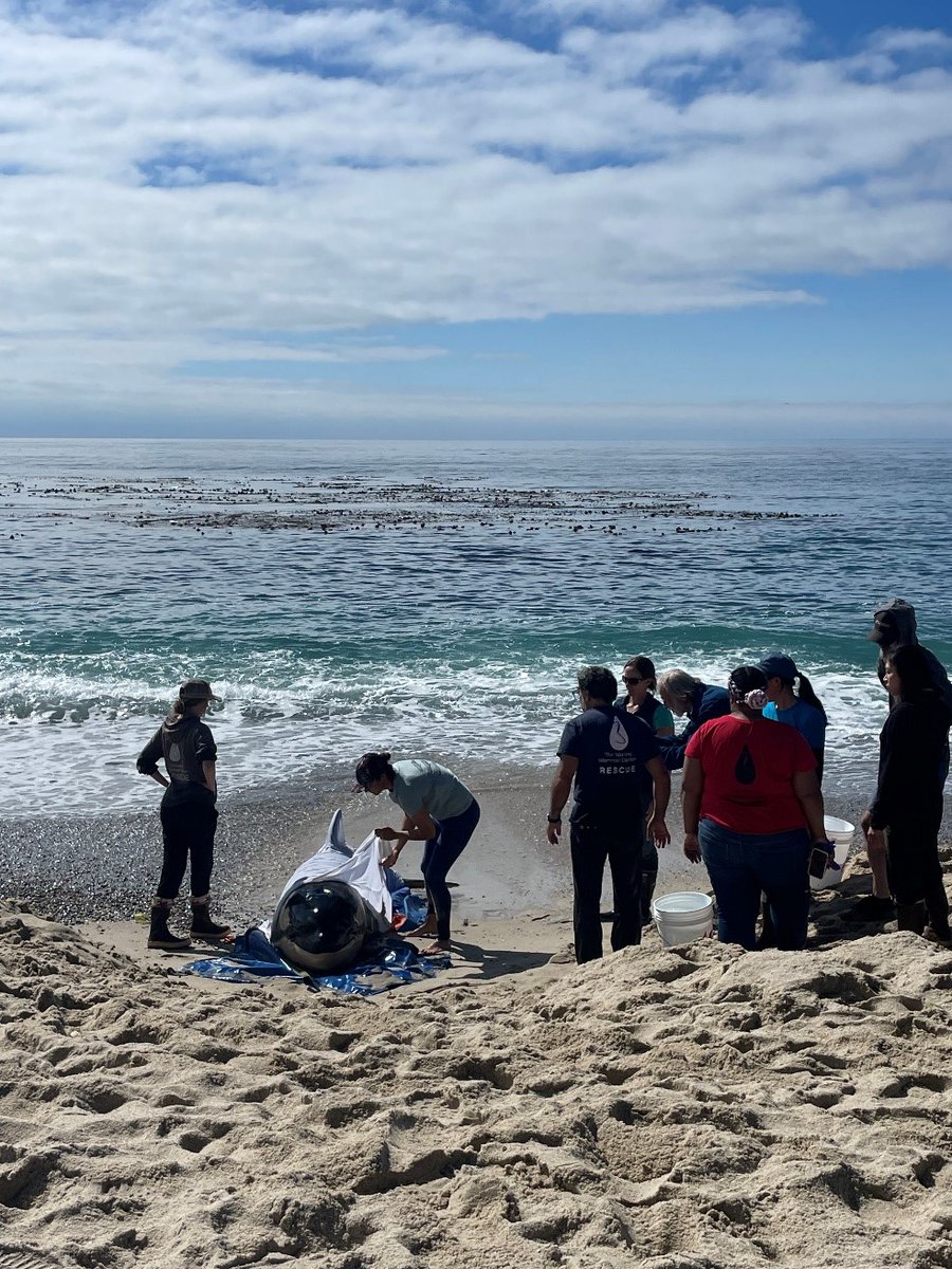 CA State Parks tweet media