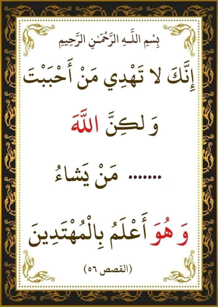 Nahed Hussien 👩‍👩‍👦‍👦 tweet media