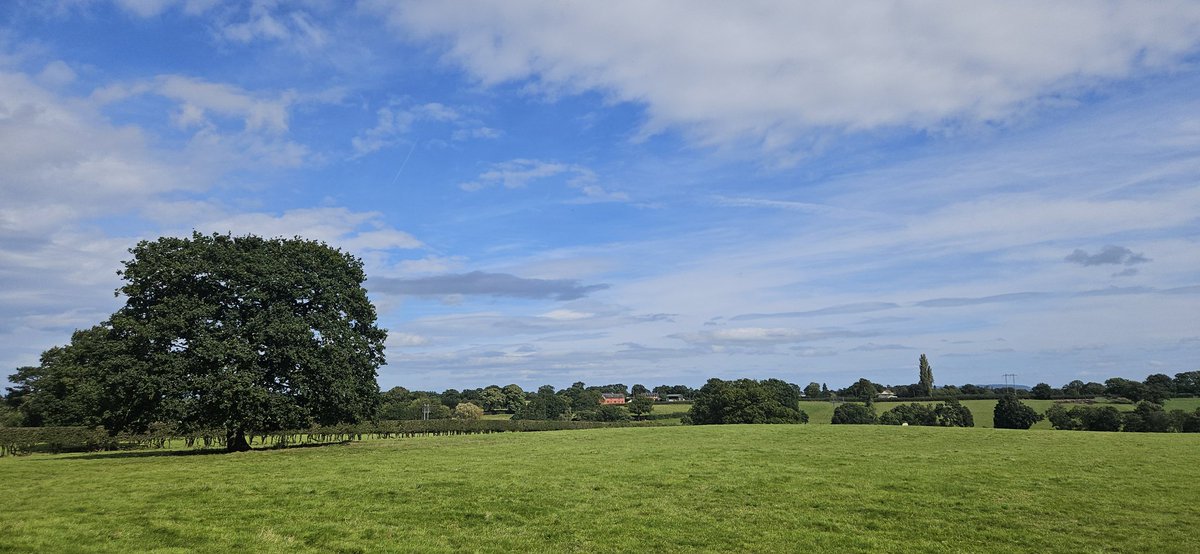 #Stunning #Peaceful #Walk15000steps  <a href="/VisitPlassey/">Plassey</a>
