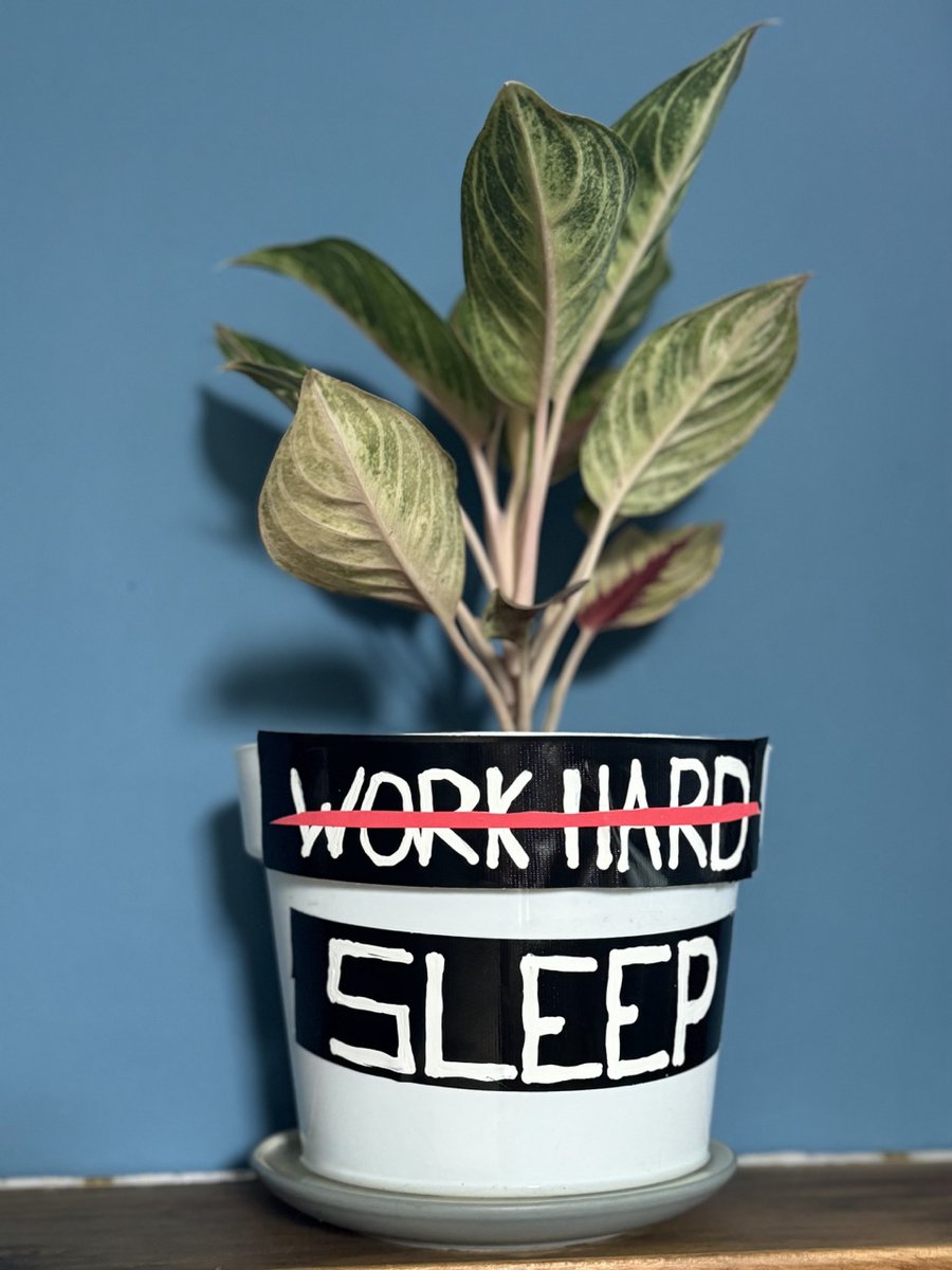 Marc Lou tweet media