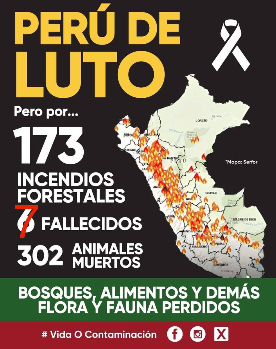 RutbVilcape's tweet image. Se está incendiando el pulmón del planeta #Amazonas dejen de postear cosas  innecesarias y sumémonos para que este gobierno incapaz despliegue los recursos necesarios para combatir el incendio. Hay vidas humanas en peligro, comunidades, flora, fauna.
#IncendioForestal 
#Amazonas