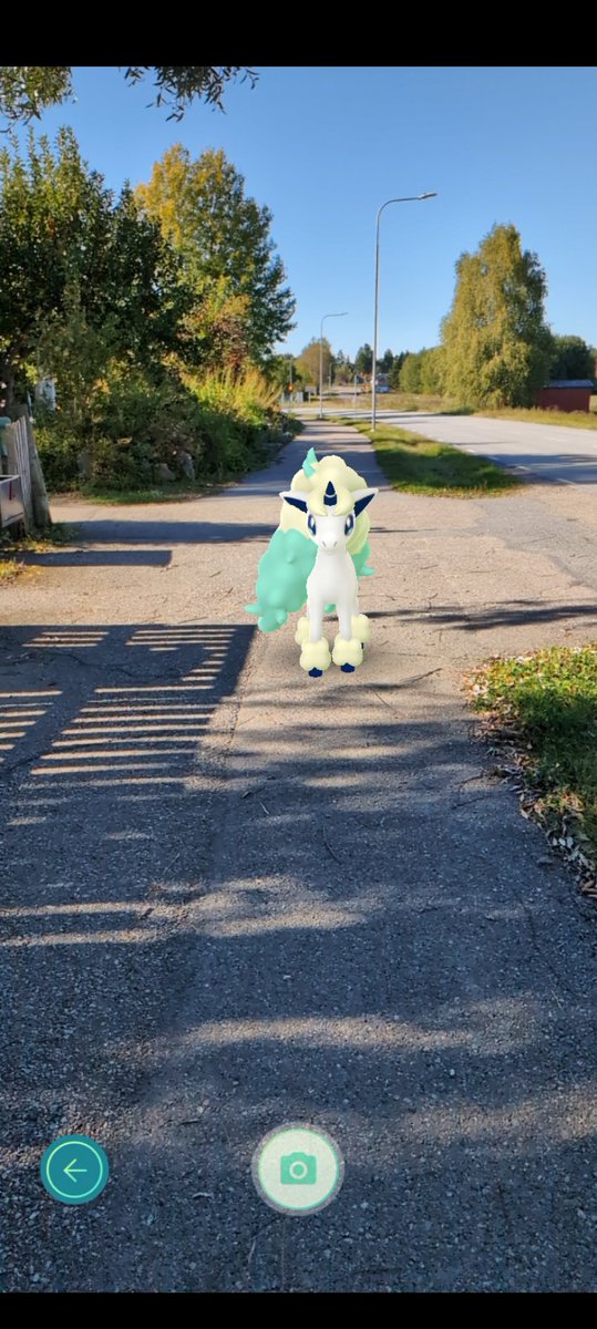 gamedin_77's tweet image. Inte det bästa, shiny jakten denna gång. Men fick mig ett par st. 

#comunitydaypokemongo #shinyhunters✨ #alwyaslookonthebrightsideoflife💜