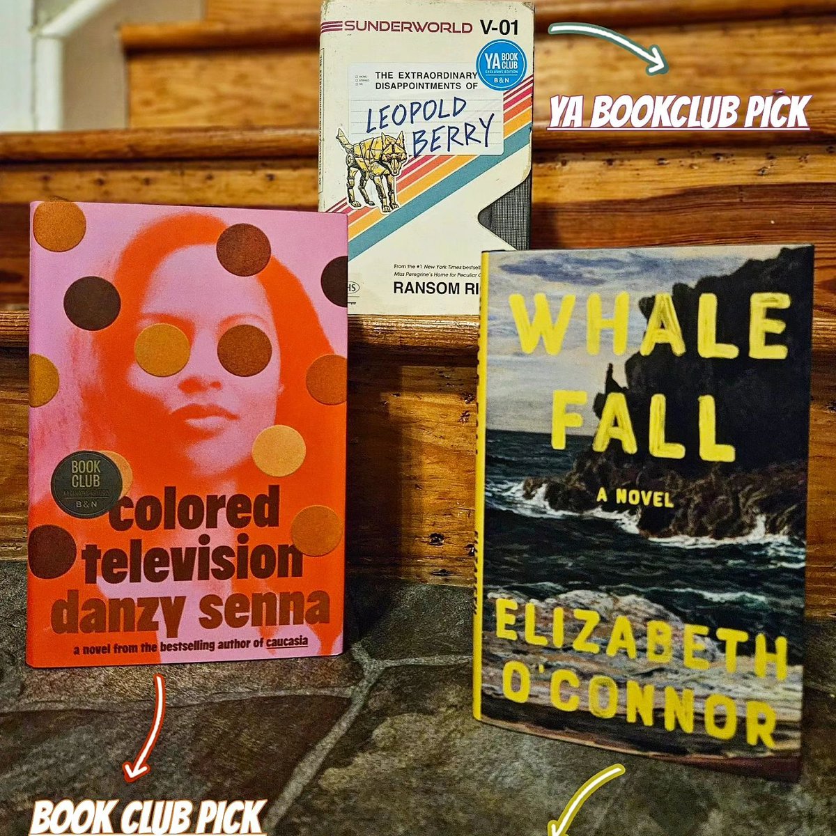 Looking for a great new read! Check out this month's #bookclub and #discoverbooks!

Book Club
- Colored Television by Danzy Senna

Discover 
- Whale Fall by Elizabeth O'Connor

YA Book Club 
- The Extraordinary Disappointments of Leopold Berry by Ransom Riggs

#bnbradleyfair