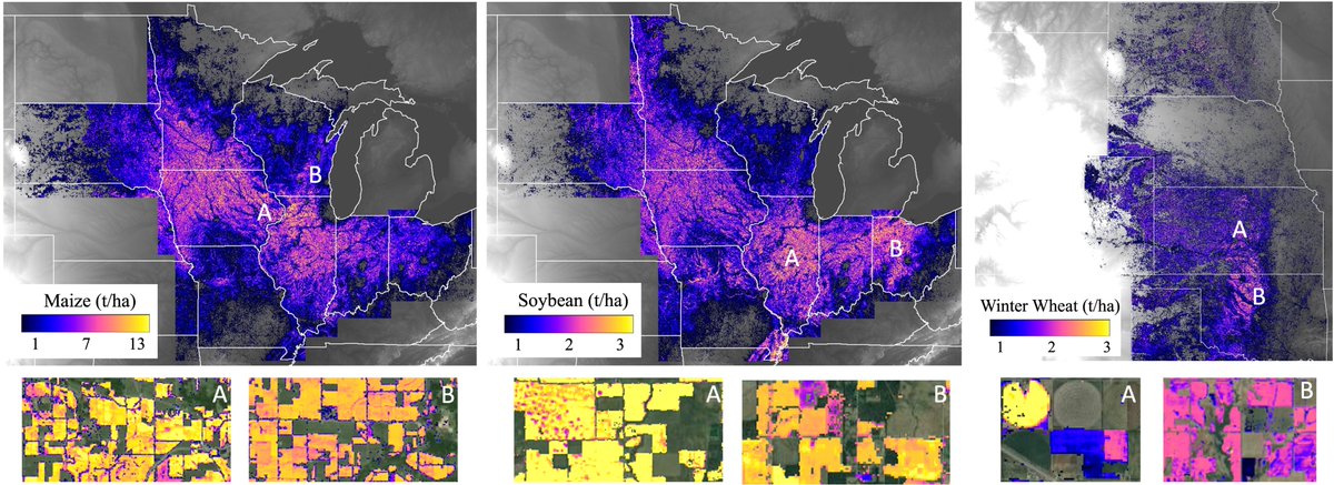 Yuchi Ma, Ph.D. (@yuchima8ma) on Twitter photo I'm excited to announce that we've published the first-ever public-available 30-meter crop yield maps for the U.S., using Landsat data and a new scale transfer framework. You can explore the details in our newly released paper in #RSE (sciencedirect.com/science/articl…) <a href="/FoodSecurity_SU/">Center on Food Security and the Environment</a>. I'm excited to announce that we've published the first-ever public-available 30-meter crop yield maps for the U.S., using Landsat data and a new scale transfer framework. You can explore the details in our newly released paper in #RSE (sciencedirect.com/science/articl…) <a href="/FoodSecurity_SU/">Center on Food Security and the Environment</a>.