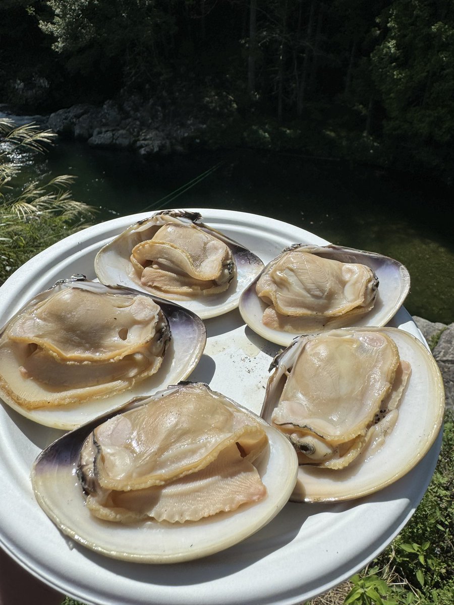 Kneko__'s tweet photo. レベル高めのバーベキューしました🐟🍄 https://t.co/8KtLhLubhm