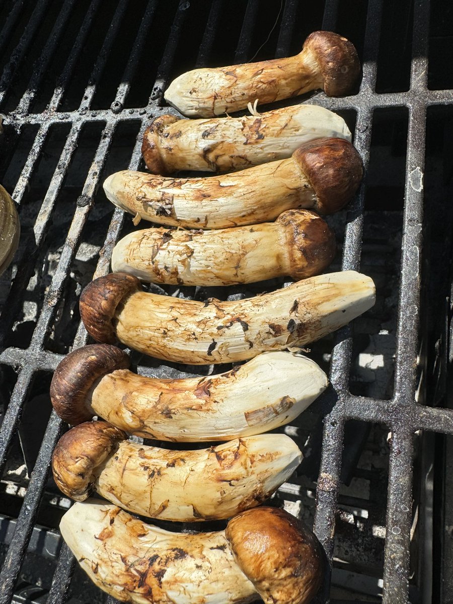 Kneko__'s tweet photo. レベル高めのバーベキューしました🐟🍄 https://t.co/8KtLhLubhm