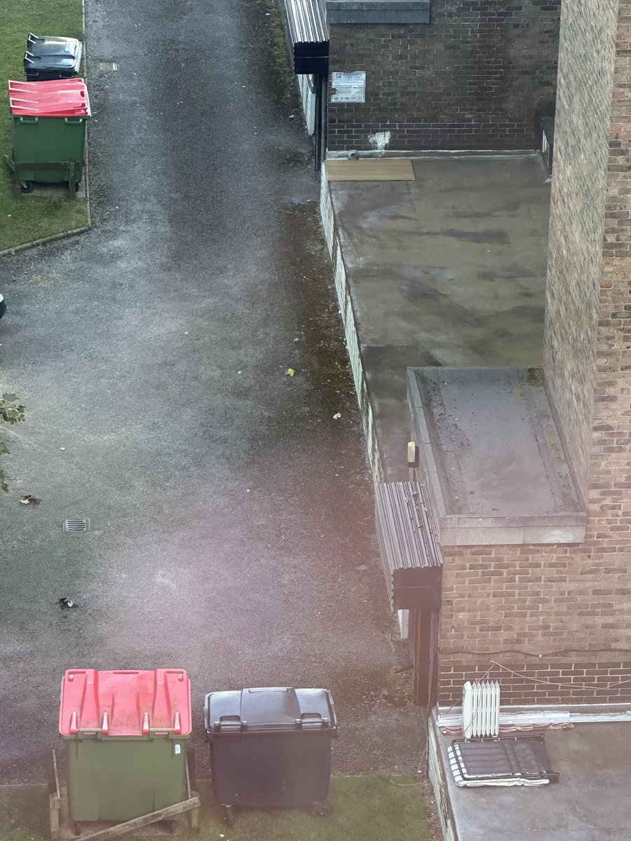 Kate Shaw tweet media