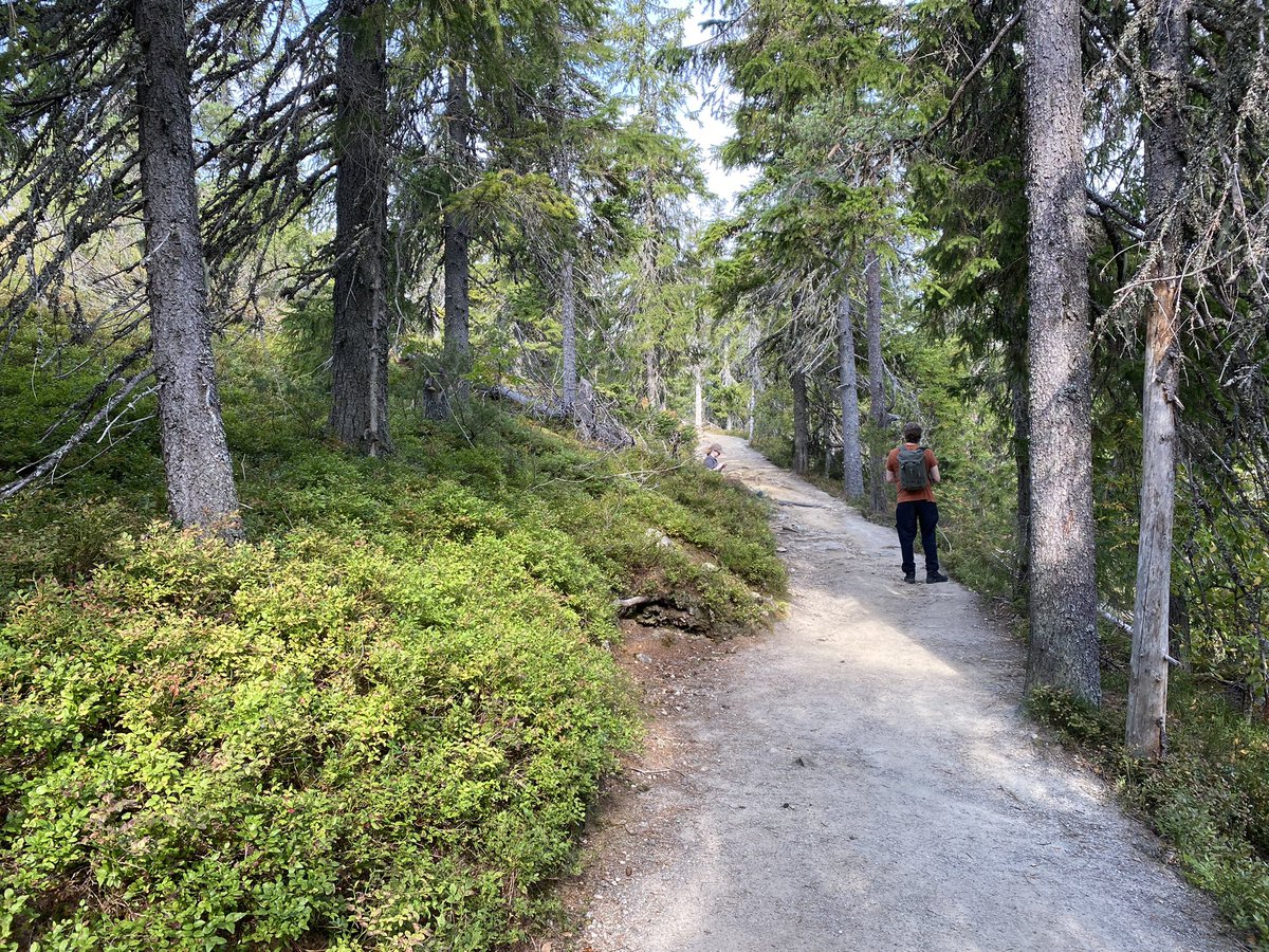 Memmu_li's tweet image. Mini-Vacation day 1:   
Whaaaaaaa! 🤗
#Koli National Park. Have seen many pics but seeing it yourself on the spot! 😍 AND they playd V’s Love Me Again at the local small shop 🥰 Perfect day 💜
#Namjoonig