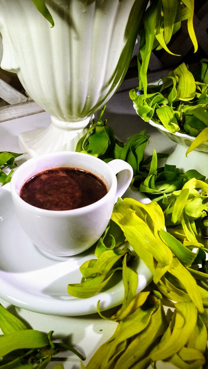 Kon_tessa's tweet image. #AlphabetChallenge 
#WeekKforKnowledge 
You don&apos;t have to know what to do with these Ylang-ylang blossoms,just enjoy their lovely scent while sipping your coffee😘