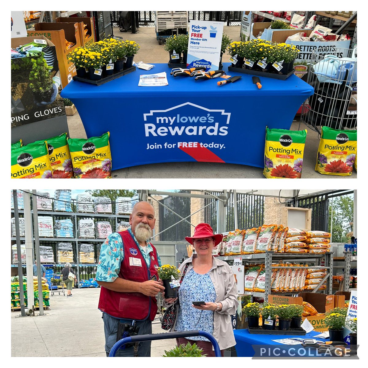 Ray Adee tweet media