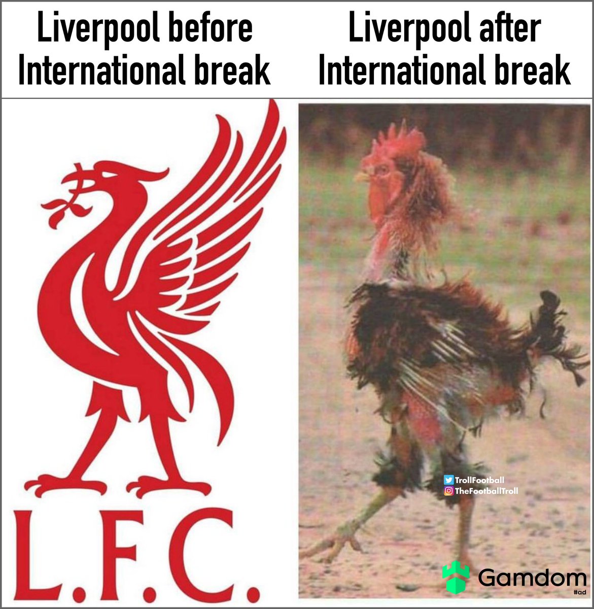 TrollFootball's tweet image. Liverpool after beating Man United