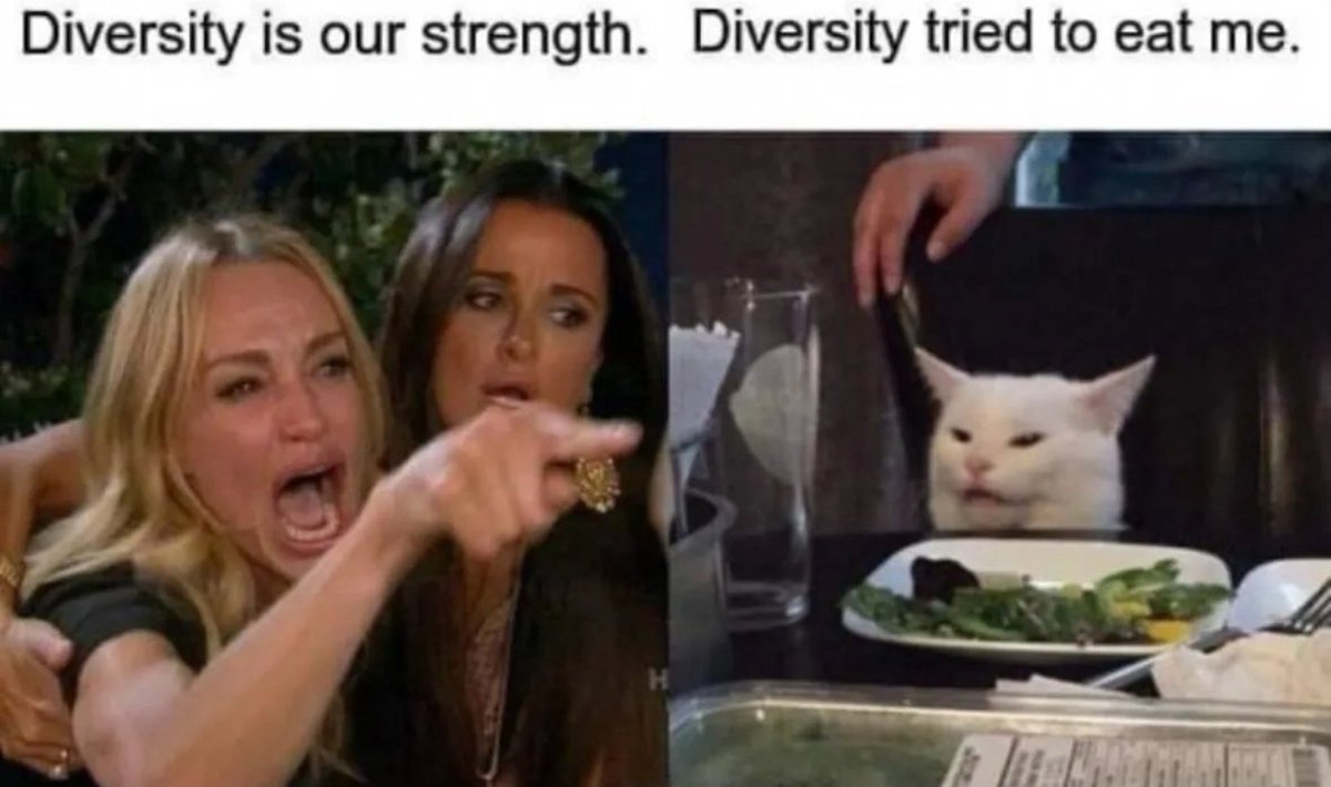 5280Singer's tweet image. I laughed way to hard at this!